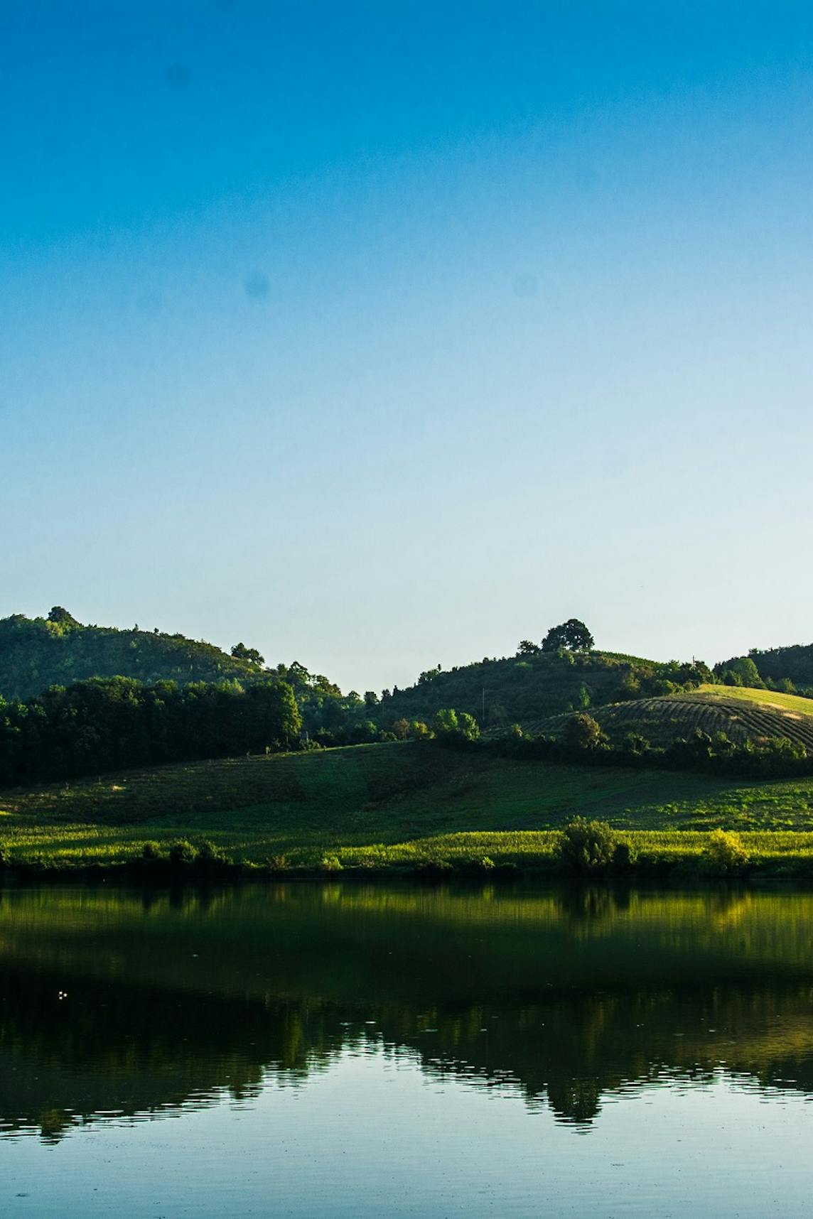 Pesnica